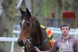134	Three Is Company (IRE) 2014 B.G.	Dower House Stables (Pat Collins)	Tom Malone	20,000