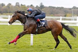 Fast Company (IRE) / South Ring (IRE) B.F.