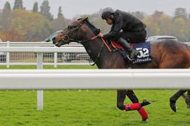 Acclamation (GB) / Iontas (IRE) 