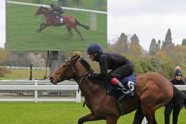 Anjaal (GB) / Sommorell (IRE)