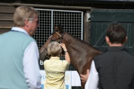 Inspection T A Y 2640 Tattersalls