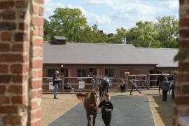 Inspection T A Y 2720 Tattersalls